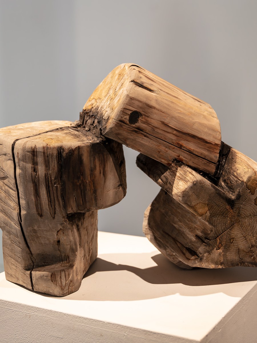 Hon hugger kilar i&nbsp;sprickor